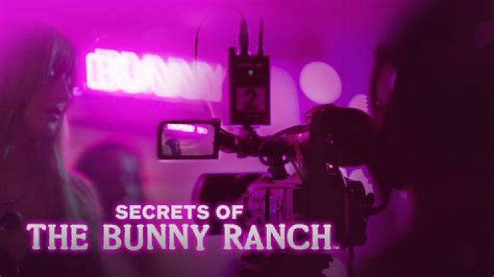Unveiling The Secrets Of Moonlite BunnyRanch: Discoveries And Insights