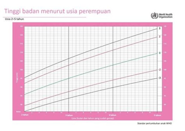 Usia, Tinggi, Pacar, Dan Kejutan Lainnya!