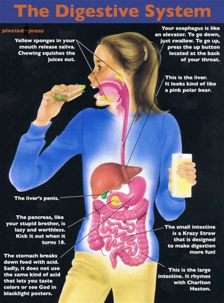 What Happens To The Food"