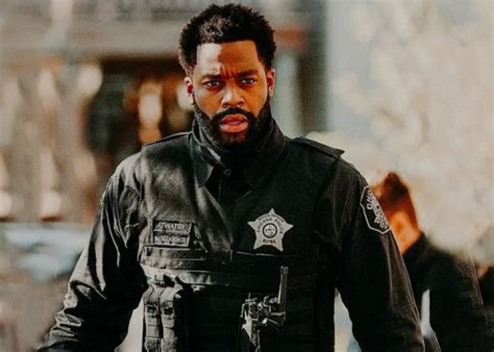 What Is Chicago PD Star LaRoyce Hawkins