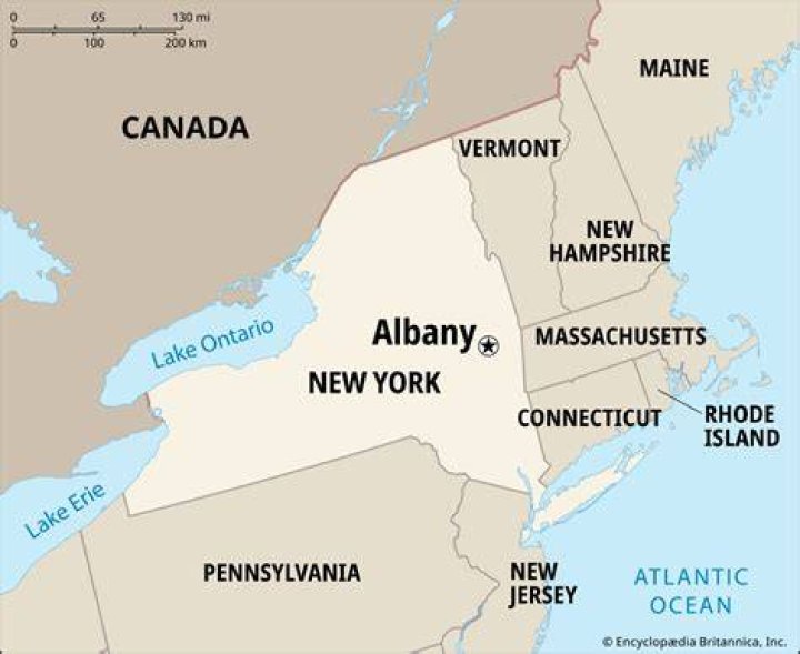 Who Is Anthony Futia Of Albany Ny?