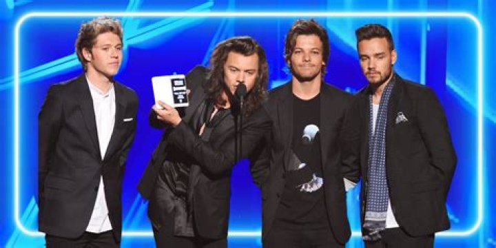 Who Is Gay in One Direction? All Members S*xuality Revealed