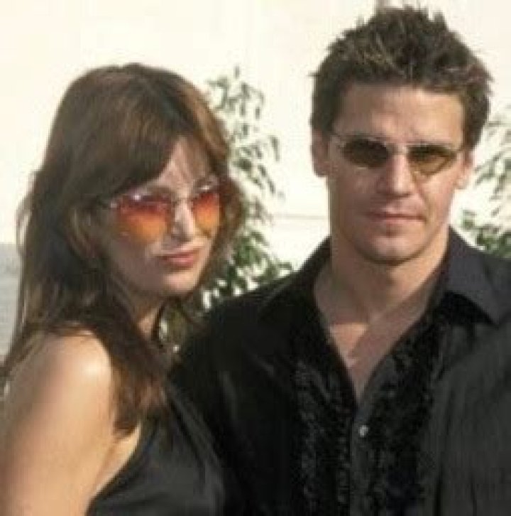 Who Is Ingrid Quinn? David Boreanaz Ex-Wife ·