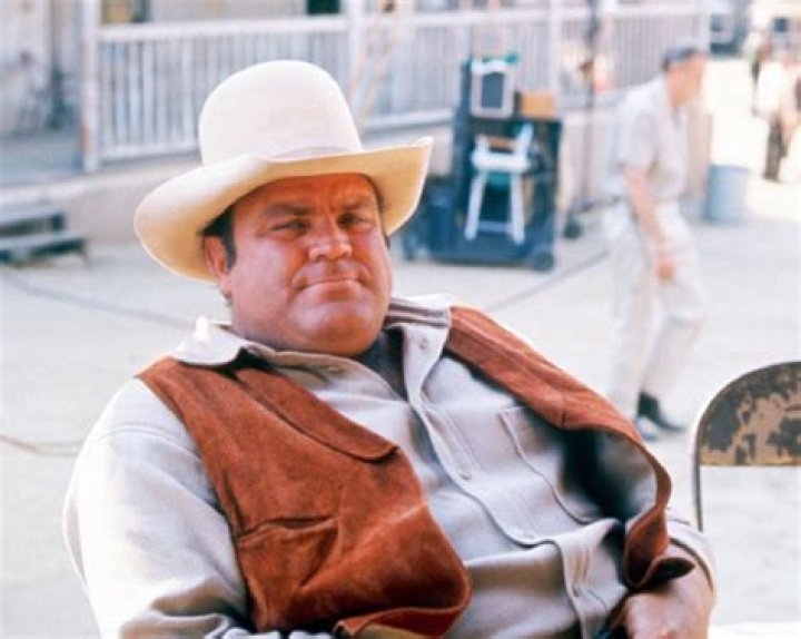 Who Was Dan Blocker and What Has Become of His Wife and 2 Sons Since His Death? ·