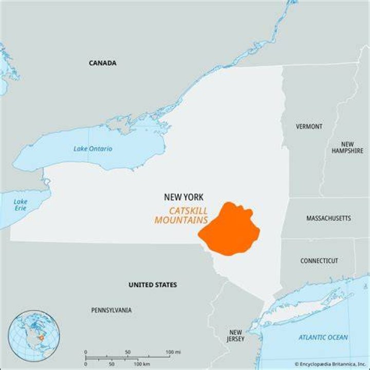World's oldest forest found in New York's Catskill Mountains